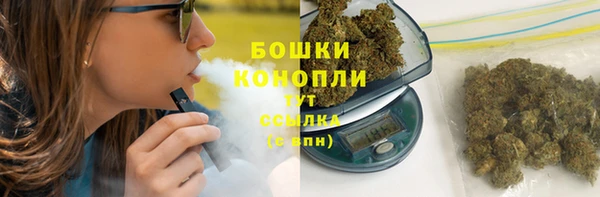 дживик Весьегонск