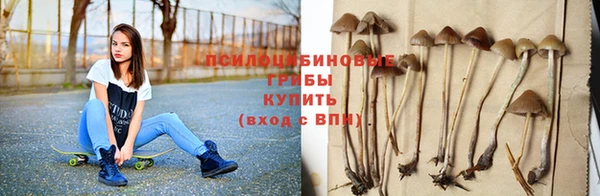 мет Новозыбков