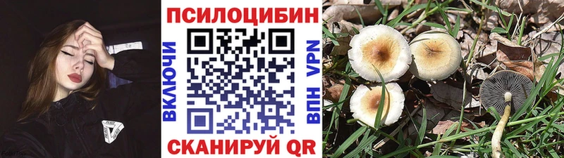 Галлюциногенные грибы Magic Shrooms  сайты даркнета формула  Инта 